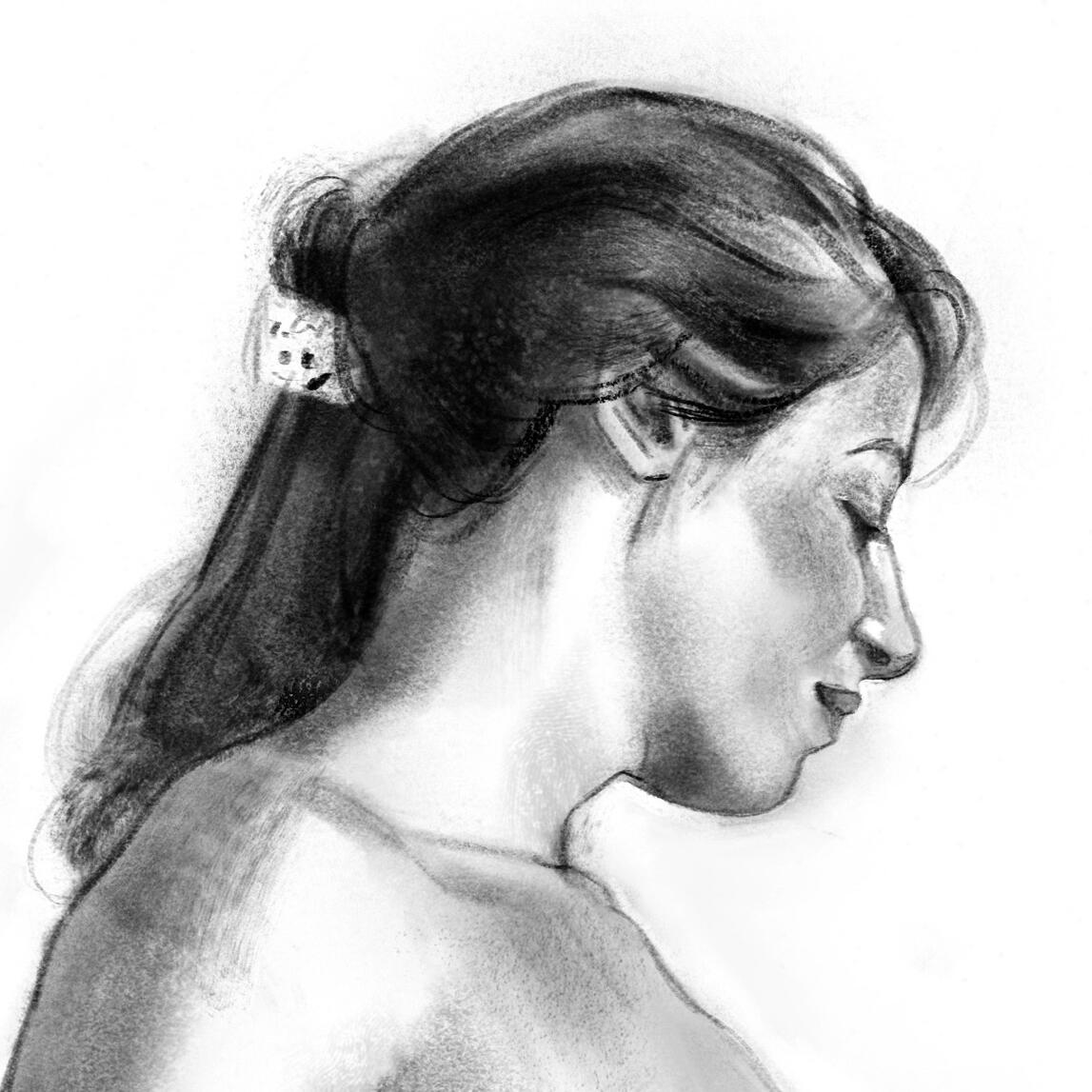 Sketch—Procreate